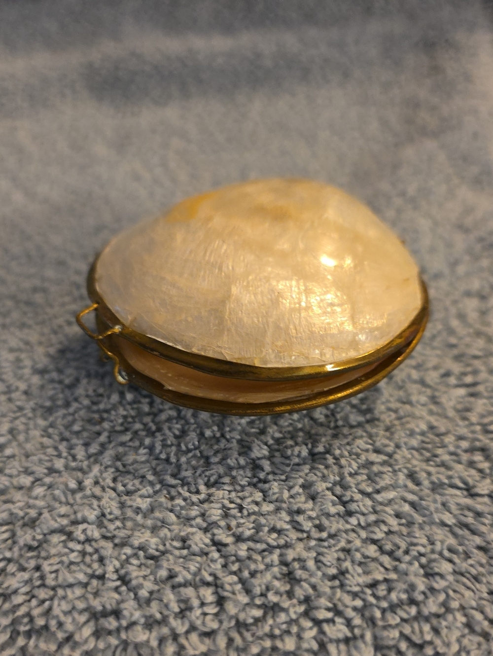 Genuine Antique Clam Shell Clutch Coin Purse Trinket Box
